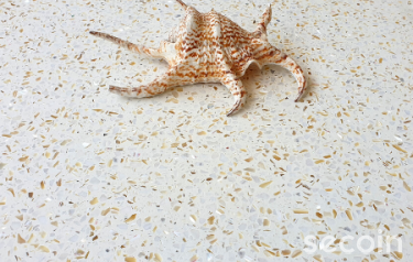 Gạch Terrazzo hạt trai